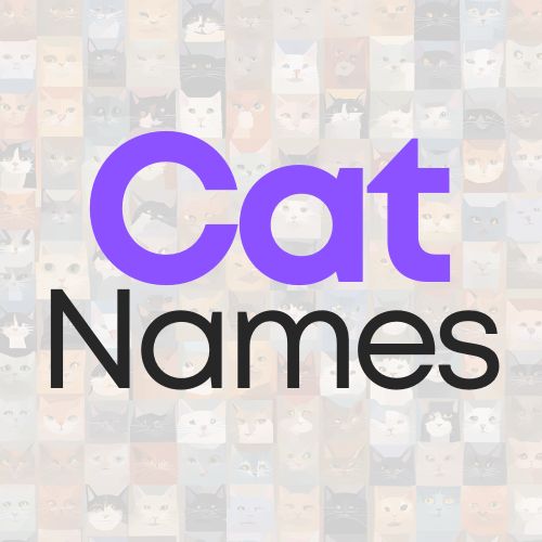 Cat Names: Random Cat Name Generator