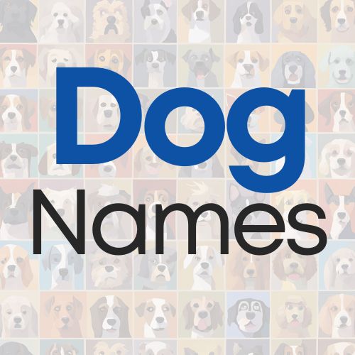 Dog Names: Random Dog Name Generator