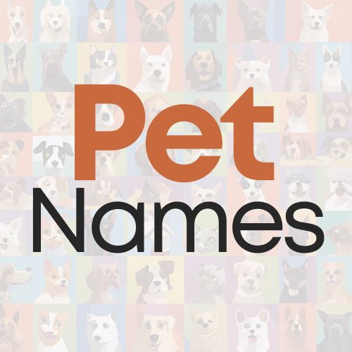 Pet Names: Random Pet Name Generator